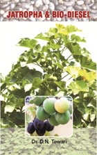 Jatropha & Bio-Diesel