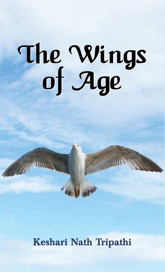 The Wings of Age (English) : A Poetic Journey Through Time, Emotions, and Reflections | Poetry | Emotions, Life, Wisdom, Motherhood | Literature & Fiction
